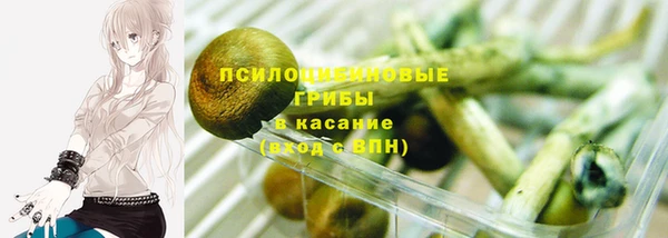 индика Алзамай