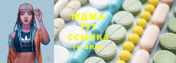 гашик Алексин