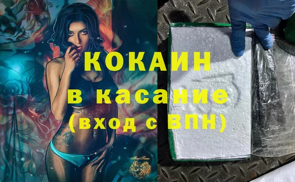 гашик Алексин
