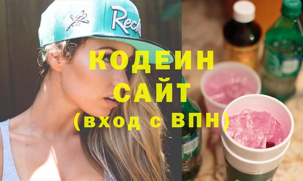 индика Алзамай