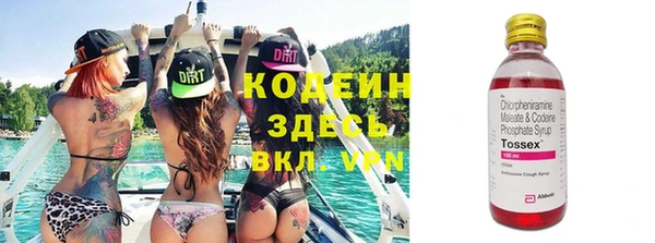 индика Алзамай