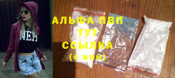 гашик Алексин