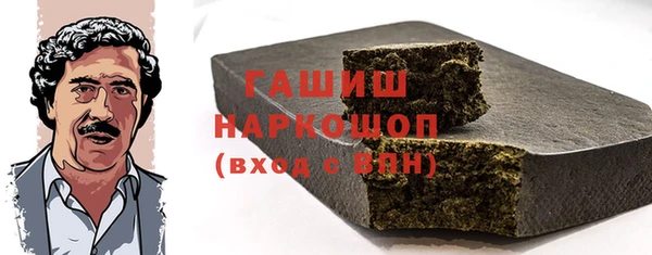 гашик Алексин