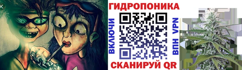 купить   Когалым  Каннабис VHQ 